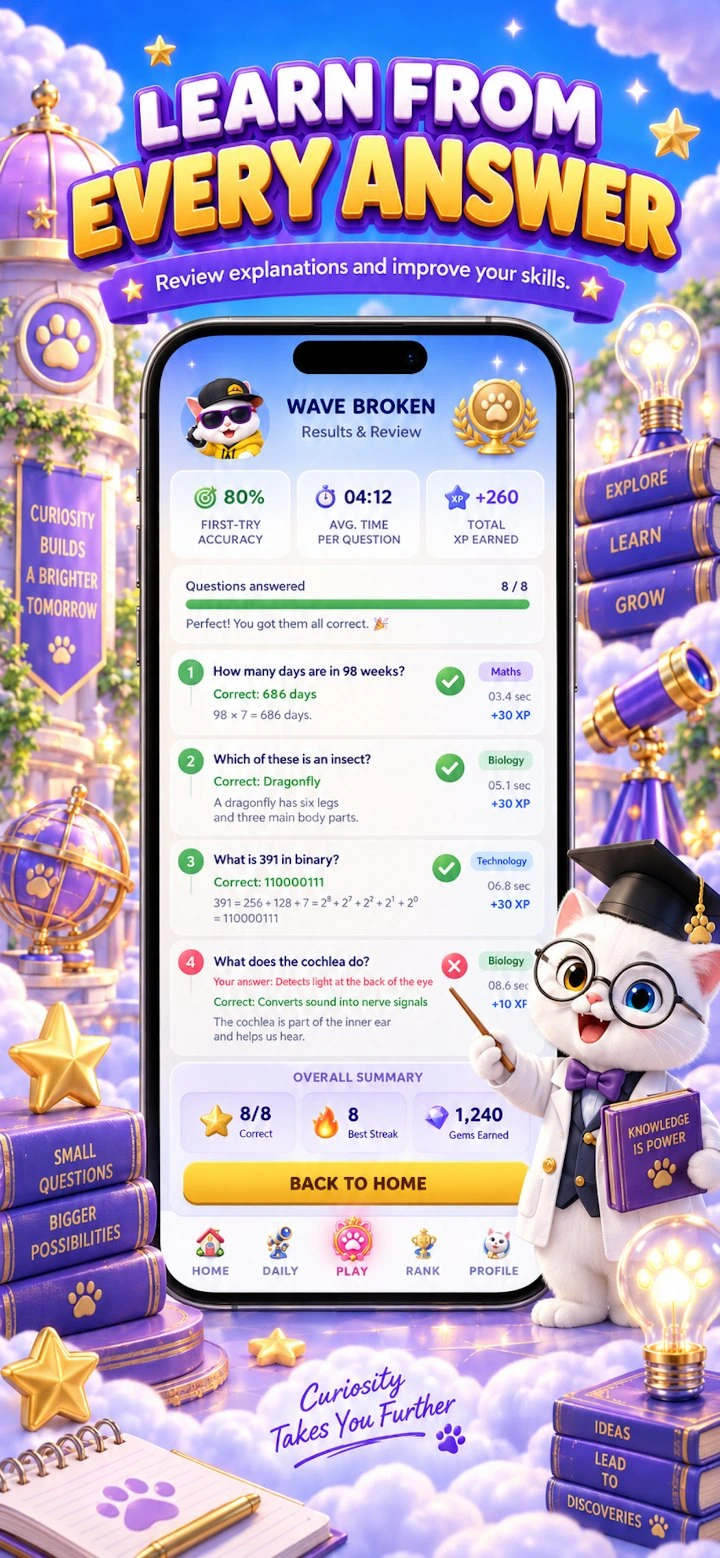 Khao Manee Trivia — Results and review with explanations for every answer